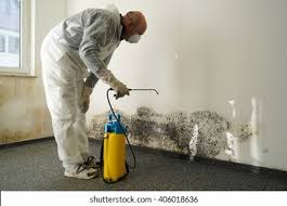 Mold Documentation for Insurance Claims in Oak Point, TX